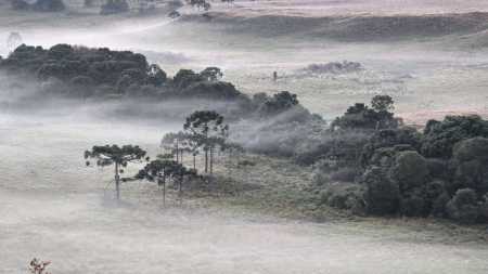 Onda de frio: cidade em SC registra temperatura de 0,1ºC | CNN Brasil