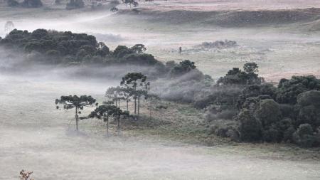 Onda de frio: cidade em SC registra temperatura de 0,1ºC | CNN Brasil