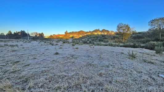 Santa Catarina registra temperatura de -1,7°C com geada nesta quinta-feira (18); veja fotos | CNN Brasil