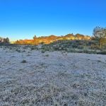 Com 50 geadas por ano, cidade de SC registra 1° temperatura negativa de 2025