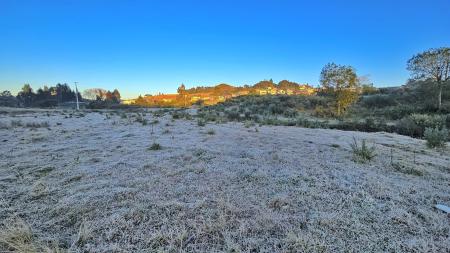 Santa Catarina registra temperatura de -1,7°C com geada nesta quinta-feira (18); veja fotos | CNN Brasil