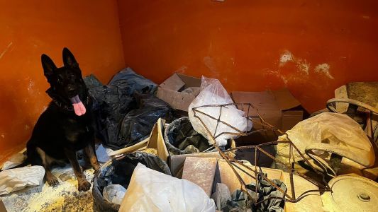 Cão policial encontra mais de 400 kg de drogas em Paraisópolis (SP) | CNN Brasil