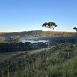 As Mudanças Climáticas e o impacto na economia