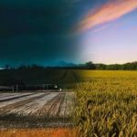 La Niña e seguro rural trazem incertezas para o homem do campo