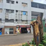 Prédio atingido por árvore teve danos na cobertura da fachada