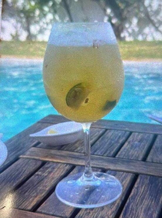 Enquanto Sidônio administra crise do PIX, ex-ministro da Secom posta foto de drink na piscina