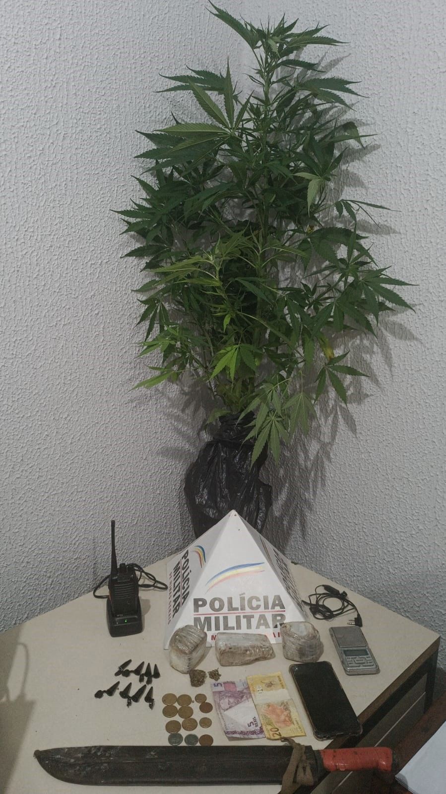 Polícia Militar de Ouro Preto prende suspeito e apreende drogas em Glaura