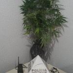 Polícia Militar de Ouro Preto prende suspeito e apreende drogas em Glaura