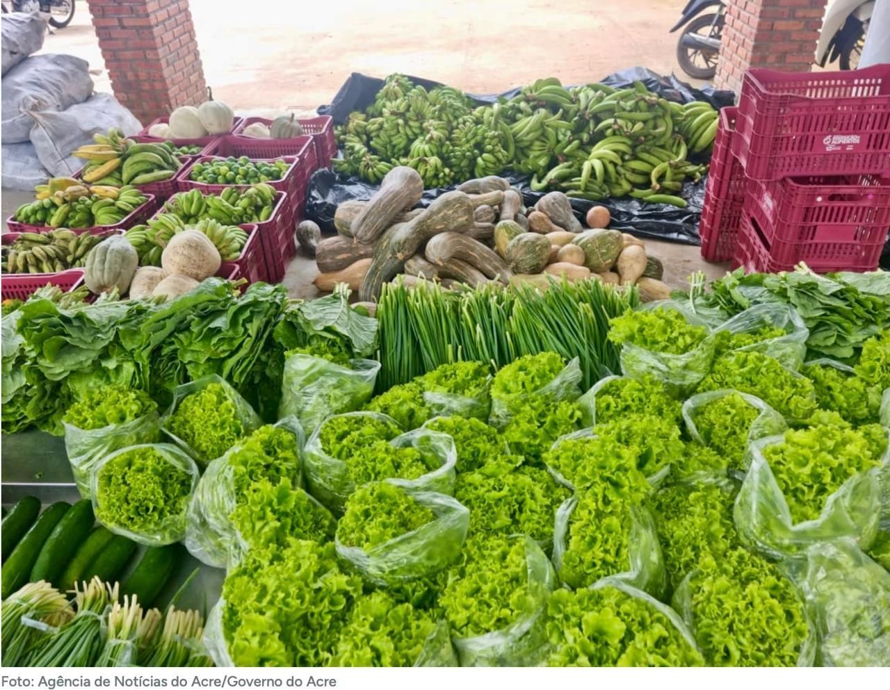Inflação dos alimentos pode virar pandemia se não houver respeito ao mercado