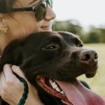 Mercado Pet movimenta R$ 7 bilhões em MG em 2024