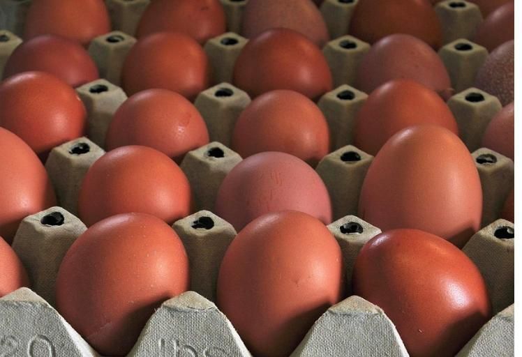 Ovo abre fevereiro com alta maior que a picanha