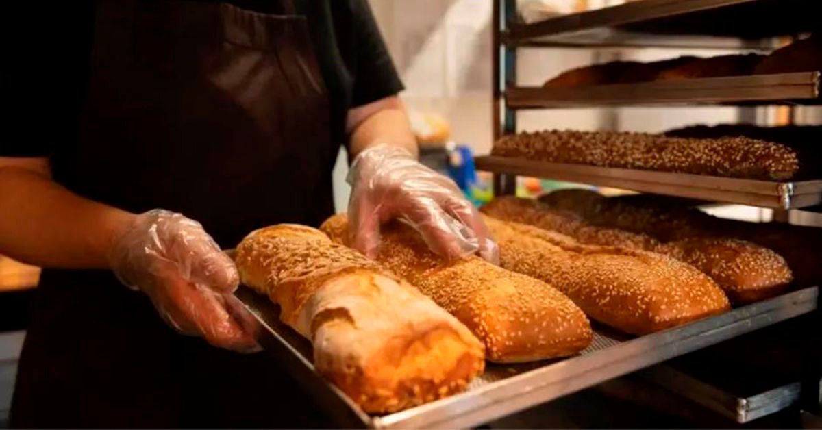 Mesmo com dólar alto e falta de mão de obra, setor de panificação cresce em MG
