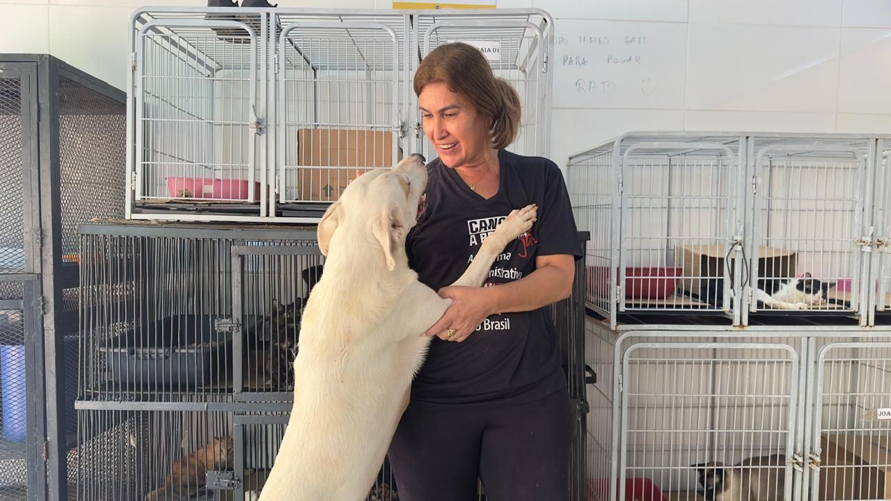 Ipatinga busca lares para animais resgatados em áreas de risco