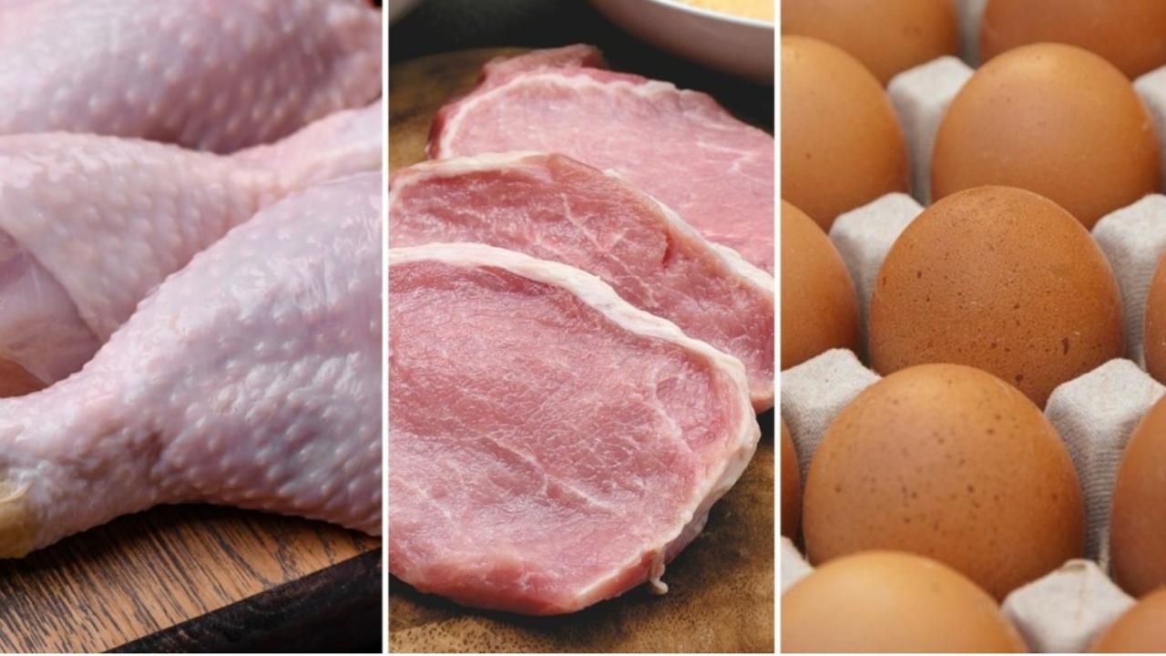 Carne de frango, suína e ovos: ABPA projeta alta da produção e exportação em 2025 e 2026