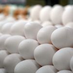 Preço do ovo dispara: alta de 35% nos últimos meses