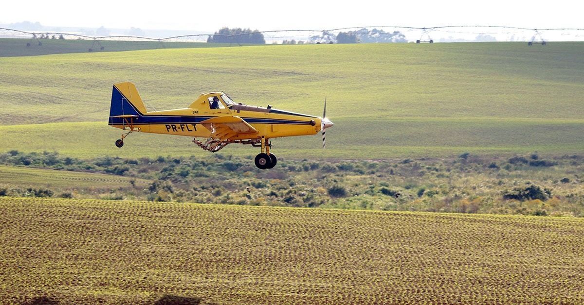 Dia do agronegócio: tecnologia faz setor avançar