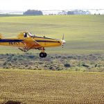 Dia do agronegócio: tecnologia faz setor avançar