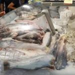 Contaminação de peixes por microplásticos ameaça produção agrícola, alerta pesquisador
