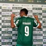 Vitor Roque nove: Palmeiras muda numeração de Paulinho e Felipe Anderson