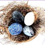 Ovo de galinha ou ovo de páscoa? Qual estará mais caro na Semana Santa?