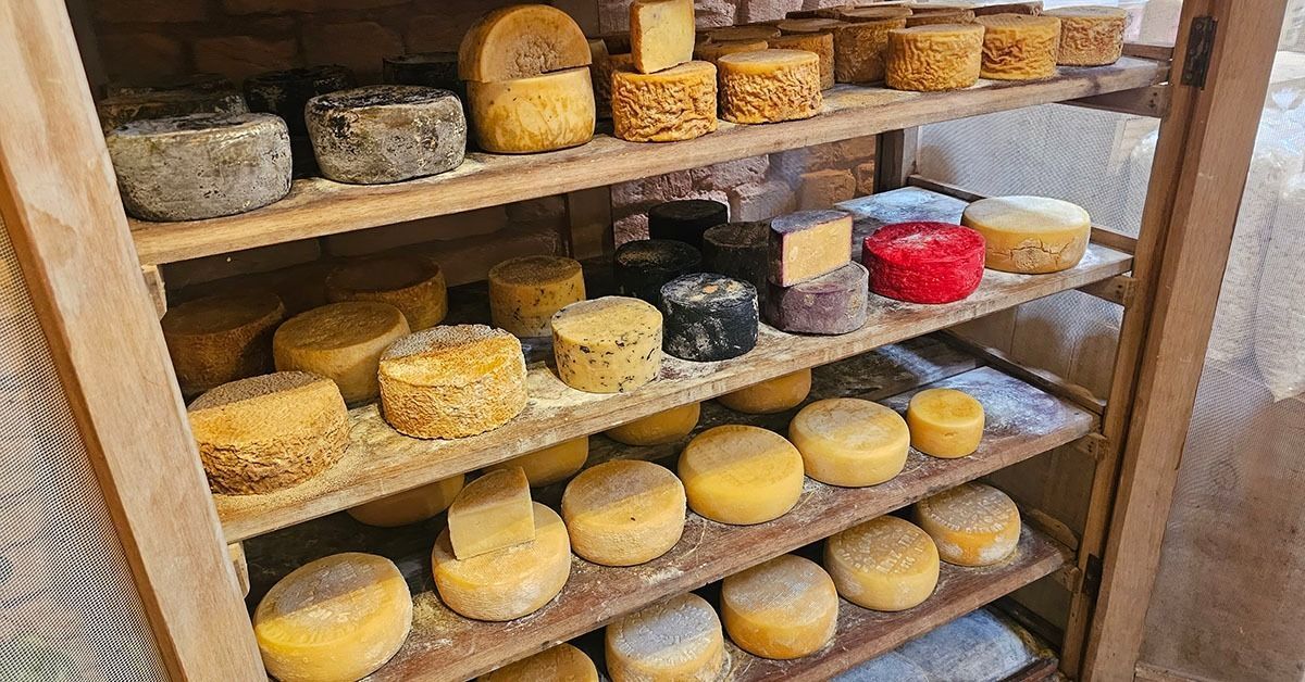 Vêm aí os primeiros encontros sobre o 'Queijo Minas Artesanal'
