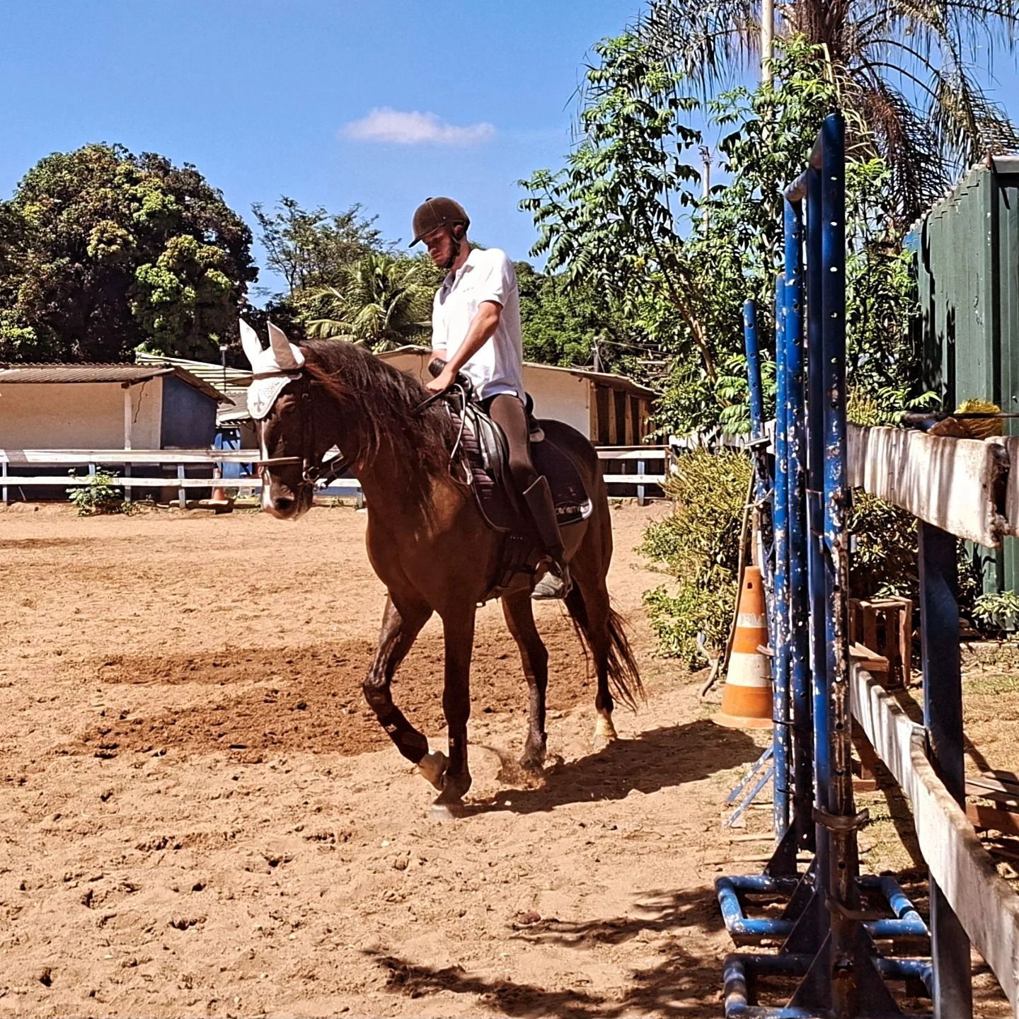De olho no Mundial, mineiro inicia disputa nacional no paradestramento equestre