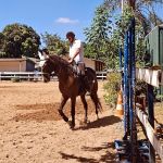 De olho no Mundial, mineiro inicia disputa nacional no paradestramento equestre
