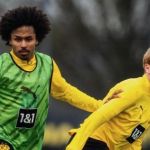 Freiburg x Borussia Dortmund: horário e onde assistir ao vivo pelo Campeonato Alemão