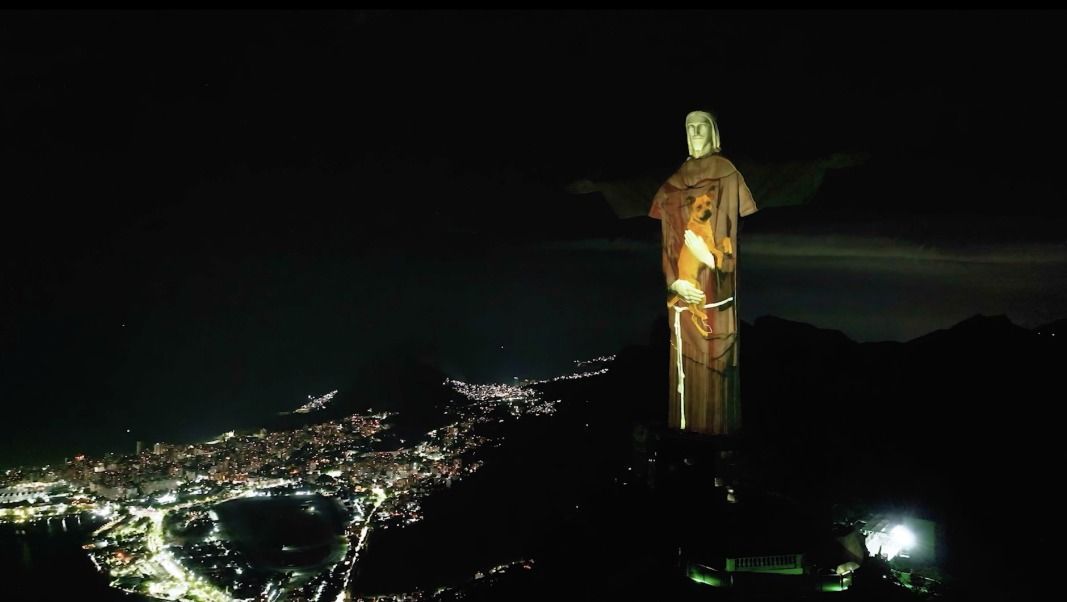 Dia Mundial dos Animais de Rua: projeção irá mostrar Cristo Redentor abraçado com vira-lata caramelo