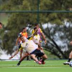 Peças-chave voltam, e Atlético encerra preparação para duelo com o São Paulo