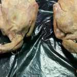 Restaurante chinês vendia pombos no lugar de carne de pato e é fechado na Espanha