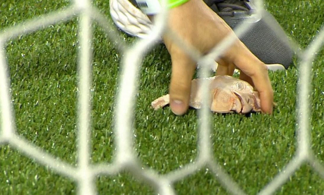 Torcida do Palmeiras provoca Corinthians e arremessa cabeças de galinha no gramado