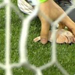 Torcida do Palmeiras provoca Corinthians e arremessa cabeças de galinha no gramado