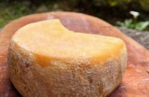 Ouro Preto se destaca no turismo rural com experiência gastronômica premiada, o Queijo Inconfidentes