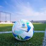 Horário e onde assistir ao vivo Vitória x Cerro Largo, pela Sul-Americana