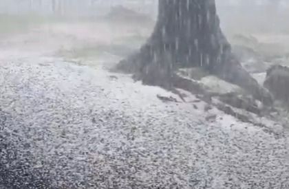 Temporal de granizo avassalador deixa ruas cobertas de gelo em SC; veja vídeo
