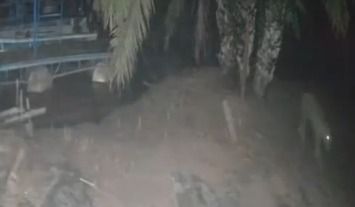 Caseiro devorado por onça: animal já rondava rancho desde março; veja vídeo