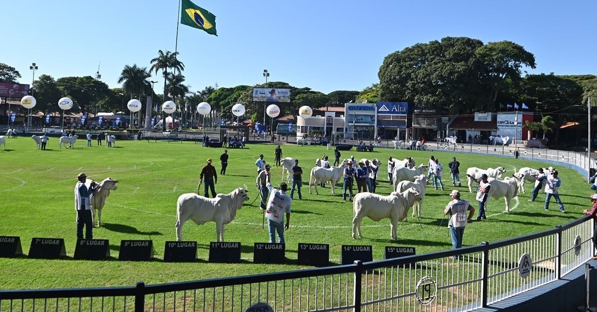 Expozebu projeta superar R$ 400 milhões em negócios