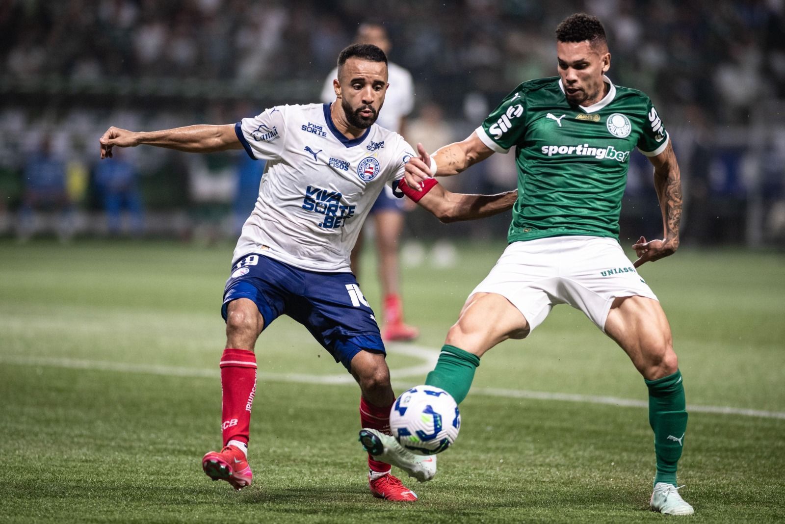 Paulinho lamenta 'gol bobo' em derrota do Palmeiras para o Bahia: 'Faltou atenção'