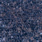 Torcedores do Corinthians protestam contra time após derrota para o Coritiba
