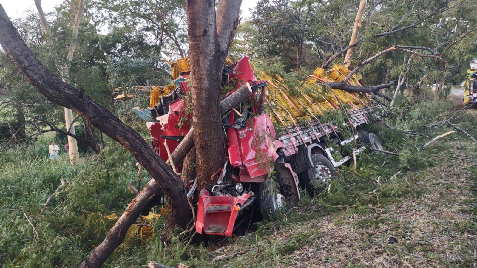 Caminhoneiro morre em acidente na BR-135 no Norte de Minas