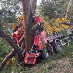 Caminhoneiro morre em acidente na BR-135 no Norte de Minas