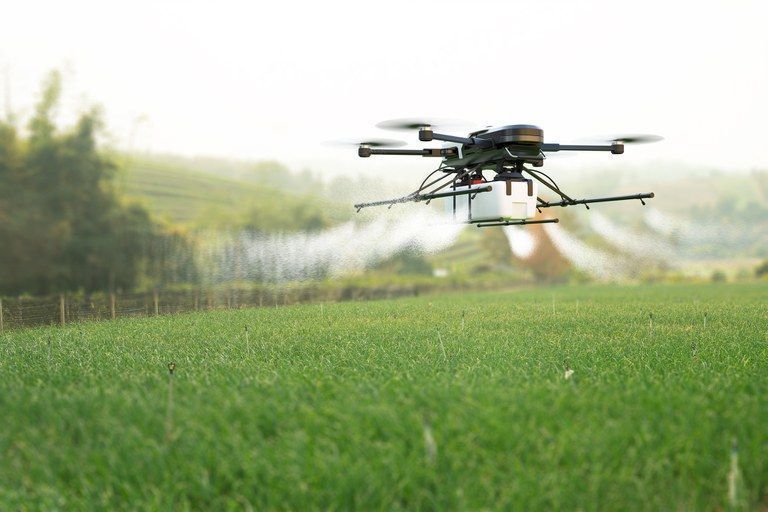 Tecnologia e diversidade podem dar protagonismo ao agronegócio mineiro