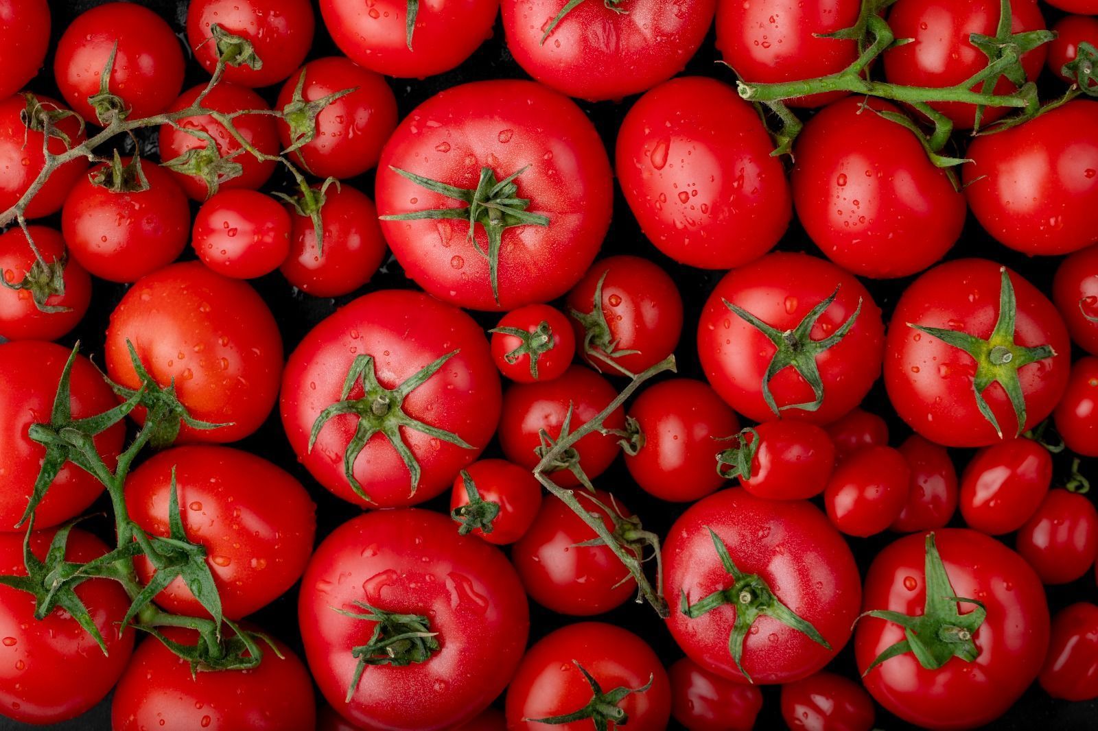 Com impacto das chuvas, tomate sobe quase 50% e cesta básica dispara em BH