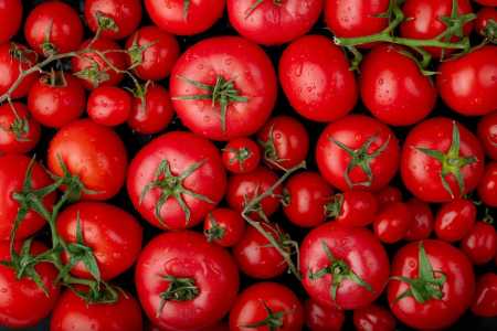 Se você tem sementes de tomate ou tomate-cereja em casa, tem um tesouro nas mãos