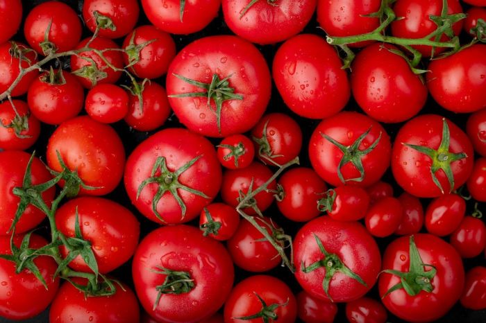 Tomates 