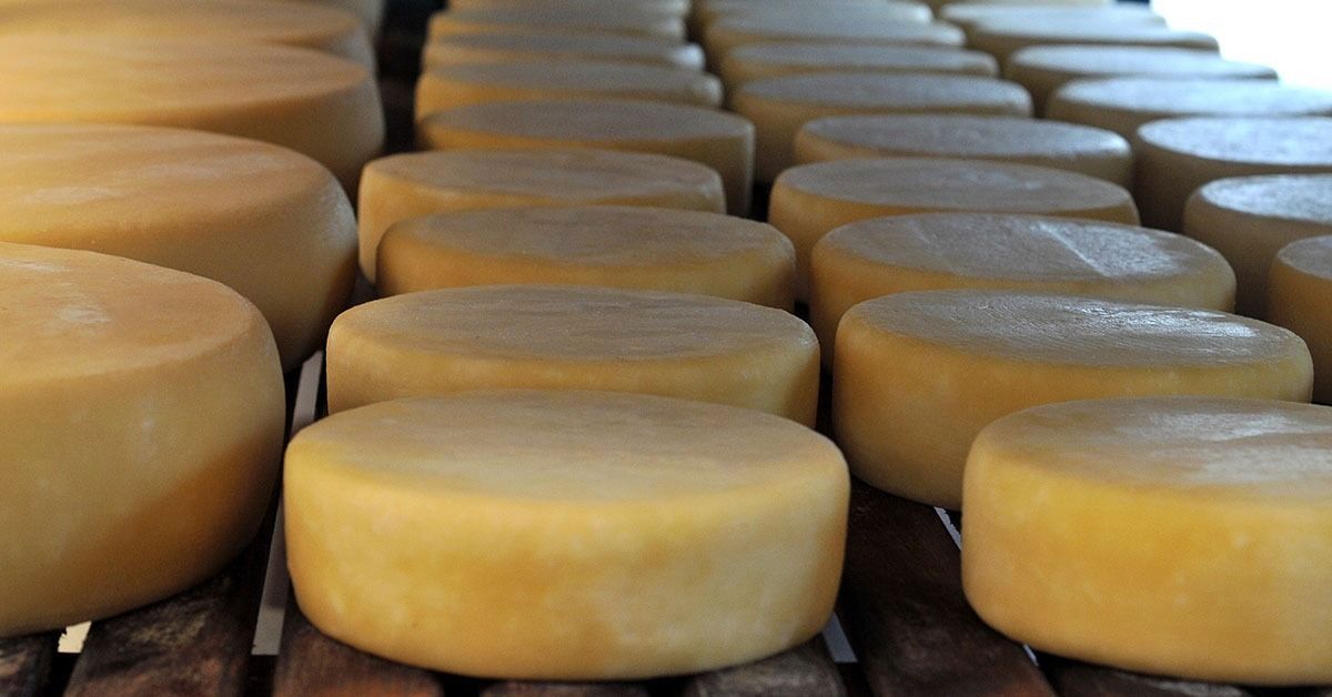 Dia do Queijo: vem aí o Festival do Queijo Artesanal de Minas 