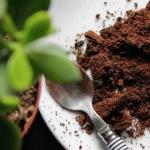 Por que reaproveitar a borra de café pode fazer bem para o seu gramado