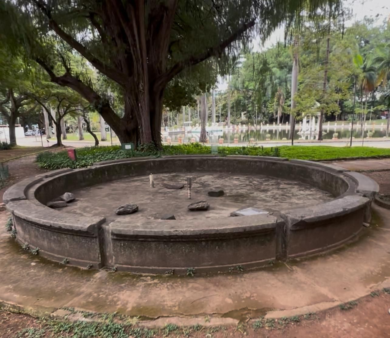 O Bebedouro dos Burros: testemunha do tempo no coração de Belo Horizonte