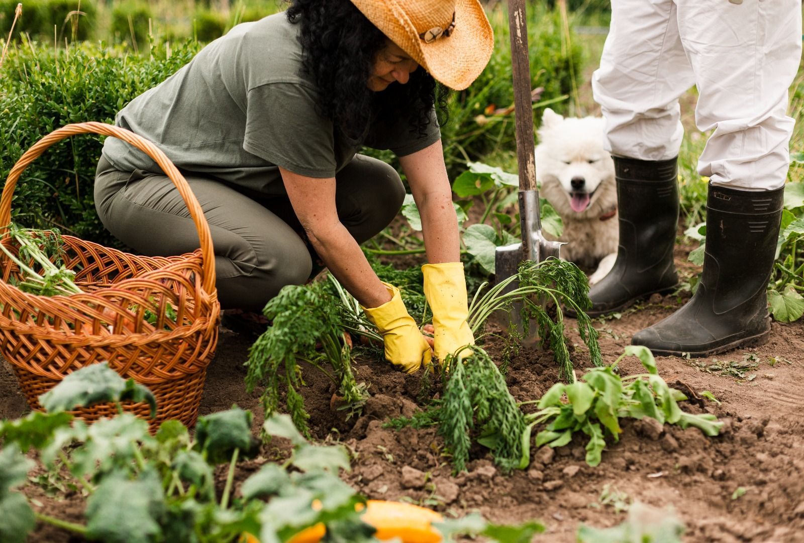 7 maneiras surpreendentes de como a jardinagem pode ajudar você a viver uma vida mais longa e feliz